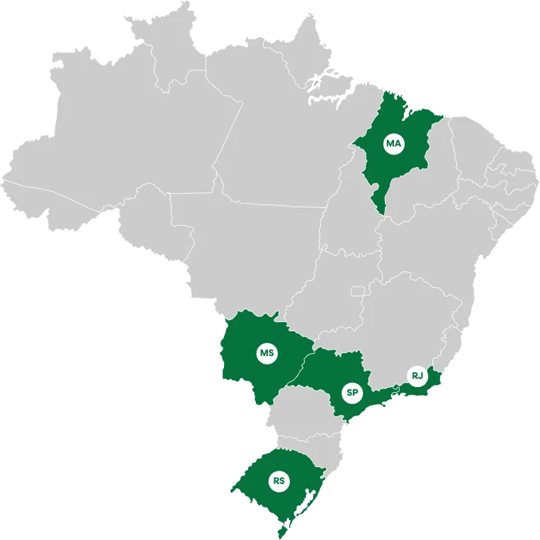 Mapa da região de atuação da Arrozeira Sepeense no Rio Grande do Sul